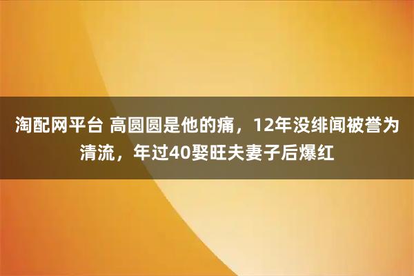 淘配网平台 高圆圆是他的痛，12年没绯闻被誉为清流，年过40娶旺夫妻子后爆红